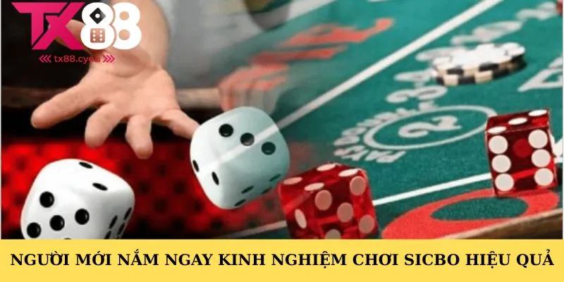 Người mới nắm ngay kinh nghiệm chơi sicbo hiệu quả