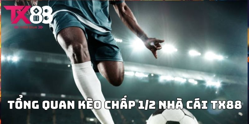 Tổng quan Kèo chấp 1/2 nhà cái TX88  